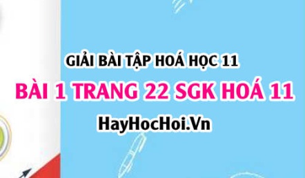 Giải bài 1 trang 22 SGK Hoá 11: Luyện tập axit, bazơ, phản ứng trao đổi ion